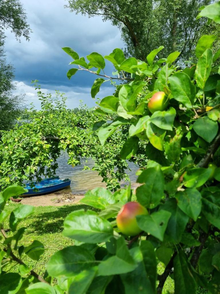 Vila Gardenia Rajgród Exteriér fotografie