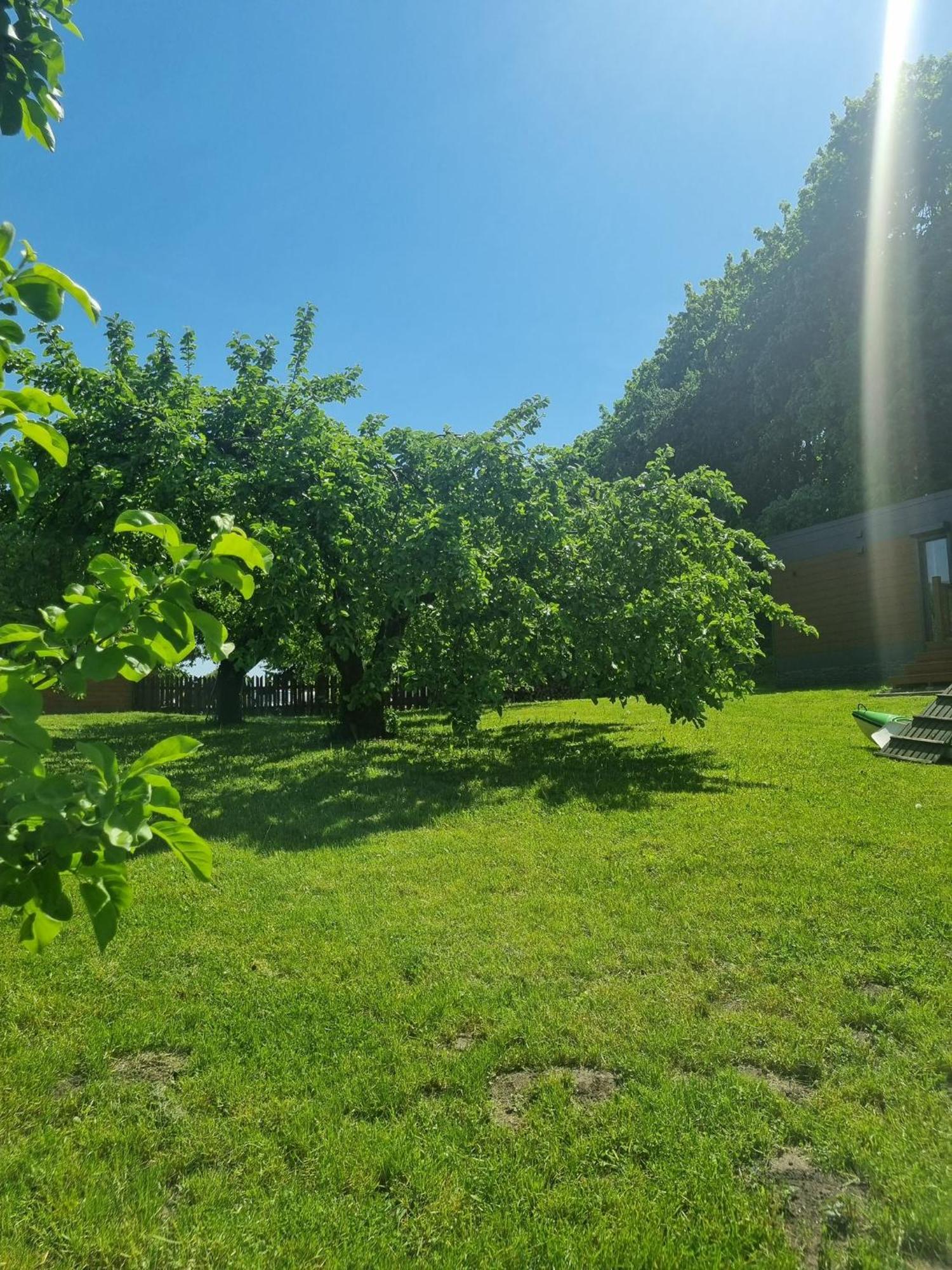 Vila Gardenia Rajgród Exteriér fotografie
